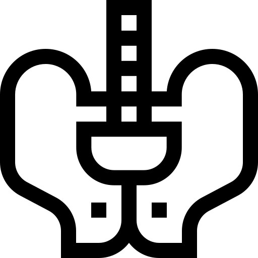 hufte